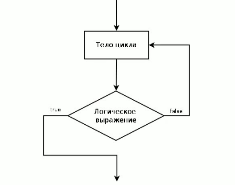 Цикл вайл блок схема